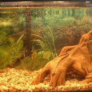 10g.jpg