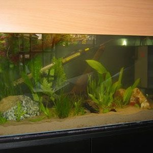 tank_01apr_4.jpg