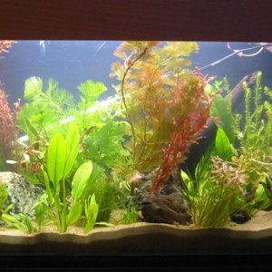 tank_03apr_1.jpg