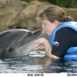 Print_18__640_x_480__dolphin.jpg
