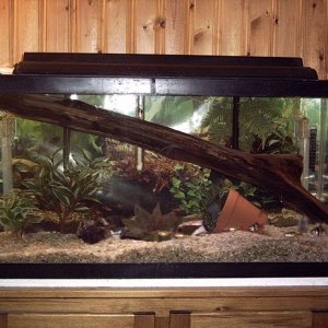 IMG00054.jpg