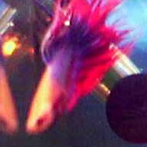 betta_box_2_edited.jpg