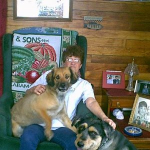 mom_n_dogs.jpg