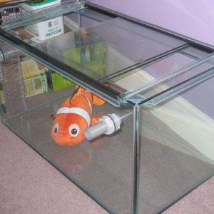 Main_Tank_02.jpg