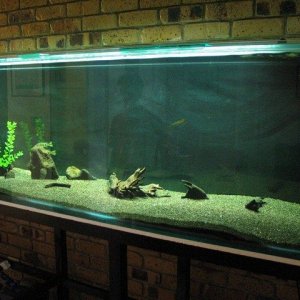 mini_120_2043_IMG.JPG