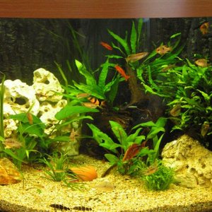 new_tank_016__Small_.jpg