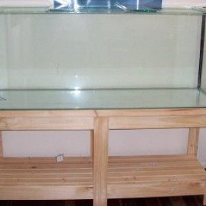 baretank.jpg