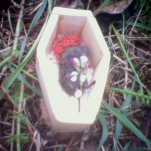 Near_grave_with_flowers.jpg
