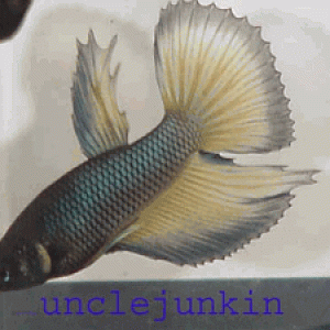 unclejunkin_1746_160004.gif