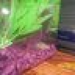 th_LesliesPictures157.jpg