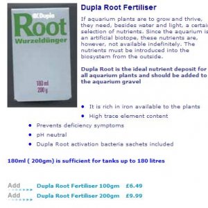 root.JPG