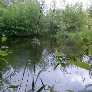 big_pond2.jpg