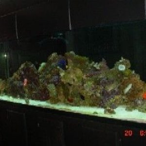 135_tank.jpg