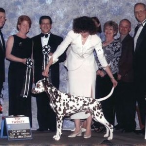 Top202003.jpg