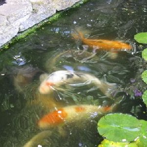 IMG_1868.JPG