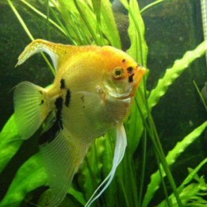 Photo_1.jpg