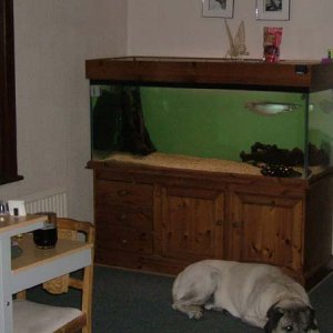 tank_011.jpg