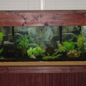 fish_tank.jpg