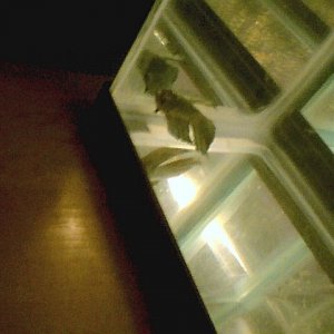 Photo001.jpg