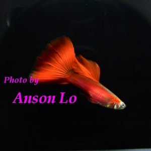 IMG_4513.JPG