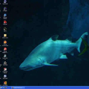 Desktop.jpg