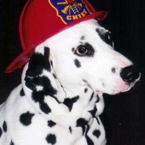 Photos_Max.jpg