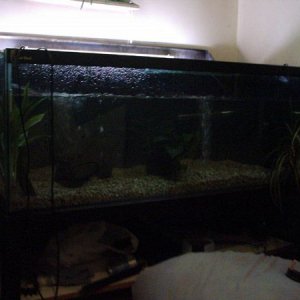 IMG_0049.jpg
