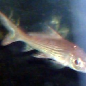 IMG18.JPG
