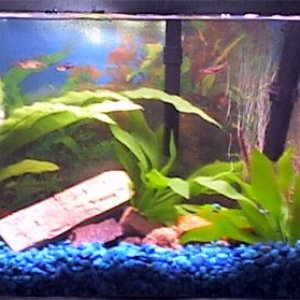 Tank2.jpg