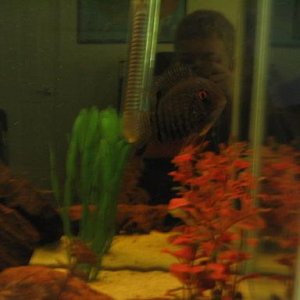 fish_005.jpg