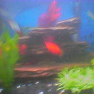 Picture49.jpg
