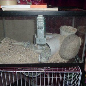 tanks08152.jpg