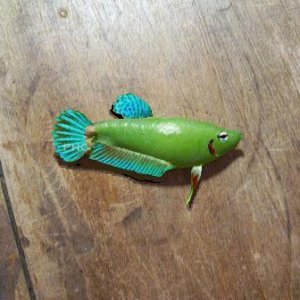 FishyPea.jpg