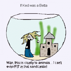 kedfish2.gif