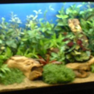 fisht_7.JPG