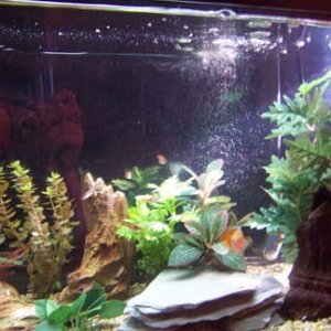 aquarium.jpg
