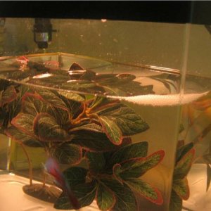 Captured_2005_9_9_00043.jpg