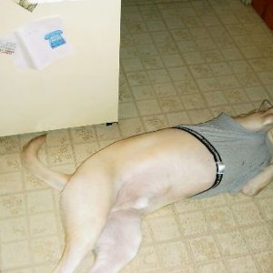 Test_005.jpg