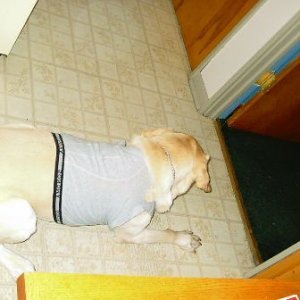 Test_004.jpg