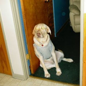 Test_002.jpg