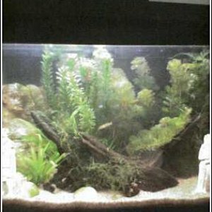 10gal2.jpg