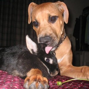Ra_and_Fritz_008.jpg