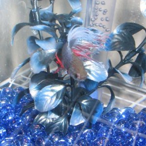 New_Babies__010.jpg