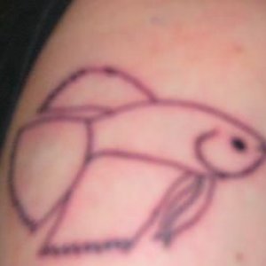 betta_tattoo.JPG