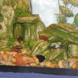 sorority_tank_shot_5_of_6.jpg