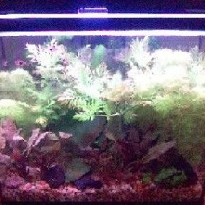 15g_2_weeks_after_Sept_1.jpg