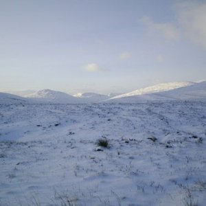 snow2.jpg