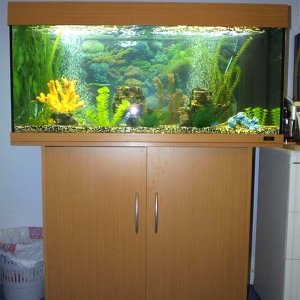 new_aquarium_2.jpg