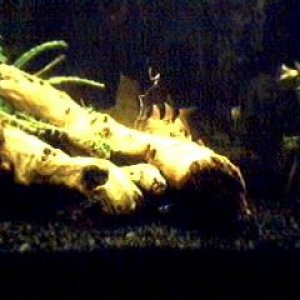 Picture_58.jpg