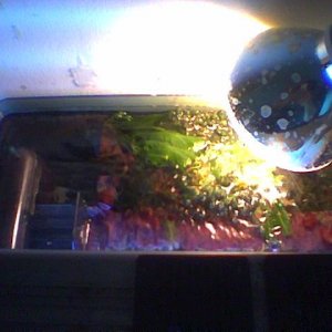 Image_205_.jpg